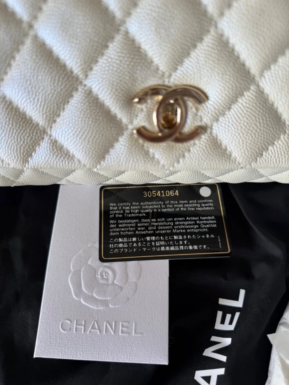 Chanel Coco Handle Bag in White (Size Small)